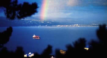 Rainbow over Wellington harbour, New Zealand 2019 . Taken from Mt Victoria with a Nikon FE2, Nikkor 105mm f1.8 , Ektar 100 film
www.benhowe.co.nz
#wellington #harbour #boat #rainbow #ektar100 #nikonFE2 #nikkor105mmf1.8 #35mmfilm #analog #film