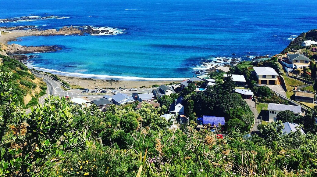 Overlooking Houghton Bay from Buckley Reserve. Wellington, NZ.