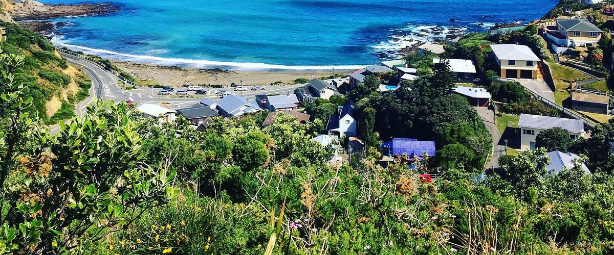 Overlooking Houghton Bay from Buckley Reserve. Wellington, NZ.