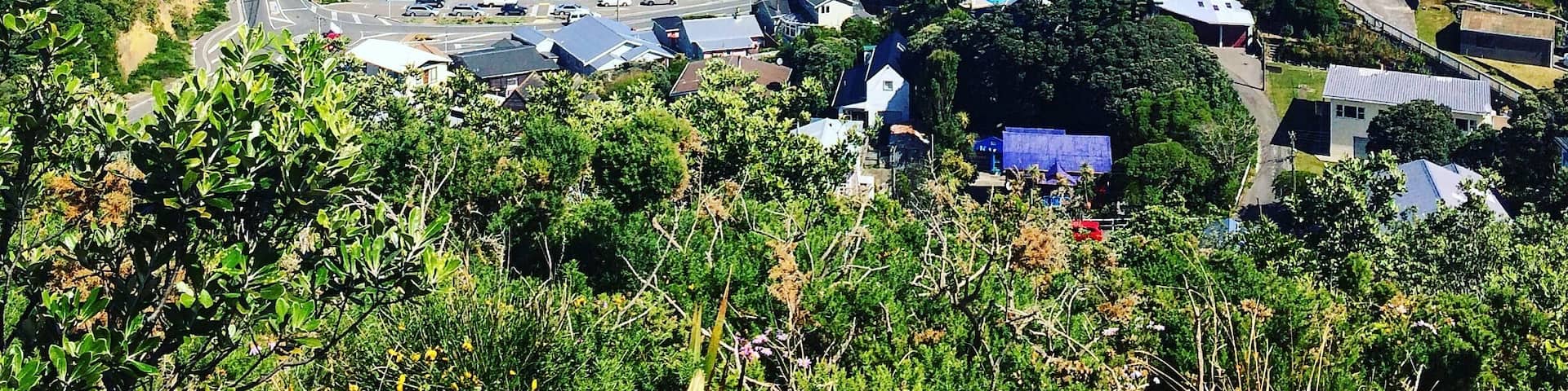 Overlooking Houghton Bay from Buckley Reserve. Wellington, NZ.