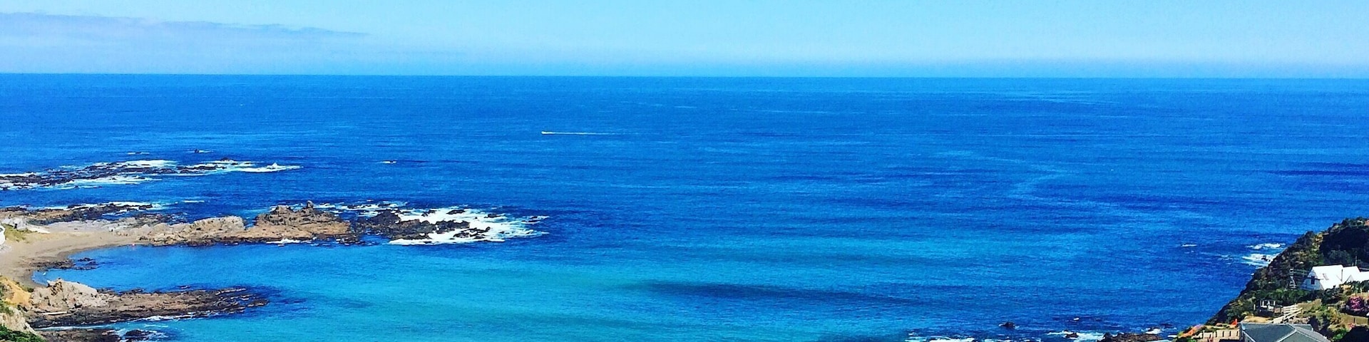 Overlooking Houghton Bay from Buckley Reserve. Wellington, NZ.