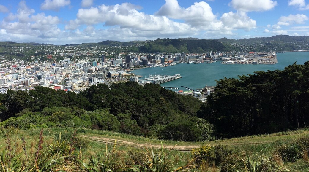 Great place to enjoy your morning coffee.