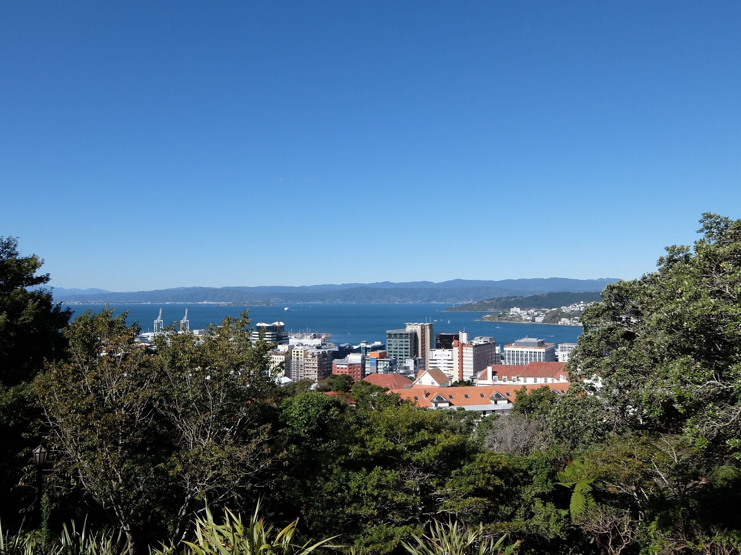 View from the Botanic Gardens