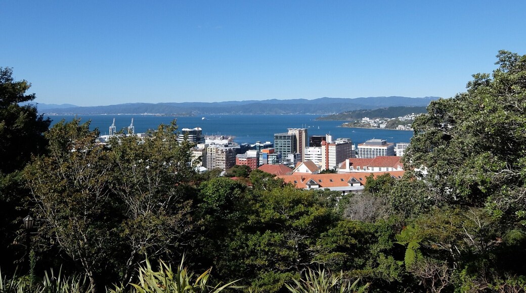 View from the Botanic Gardens