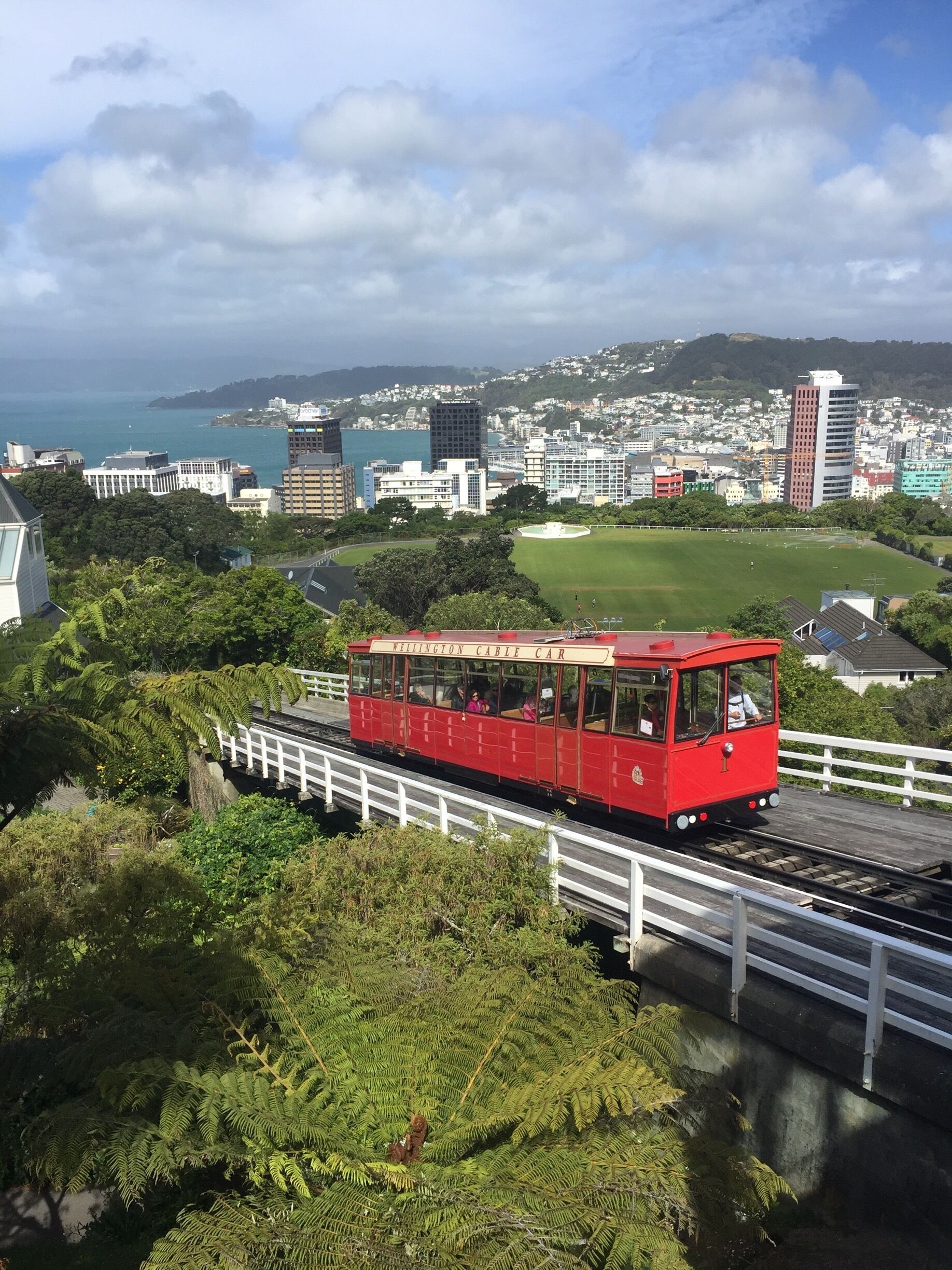 Take the wellington Cable Car up to the Botanical Gardens. If you get a clear day, the views of the city is stunning