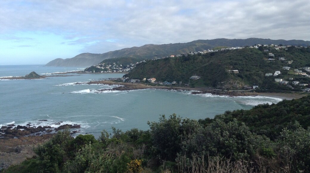 Looking north at Houghton Bay from the trail through Headland Reserve.