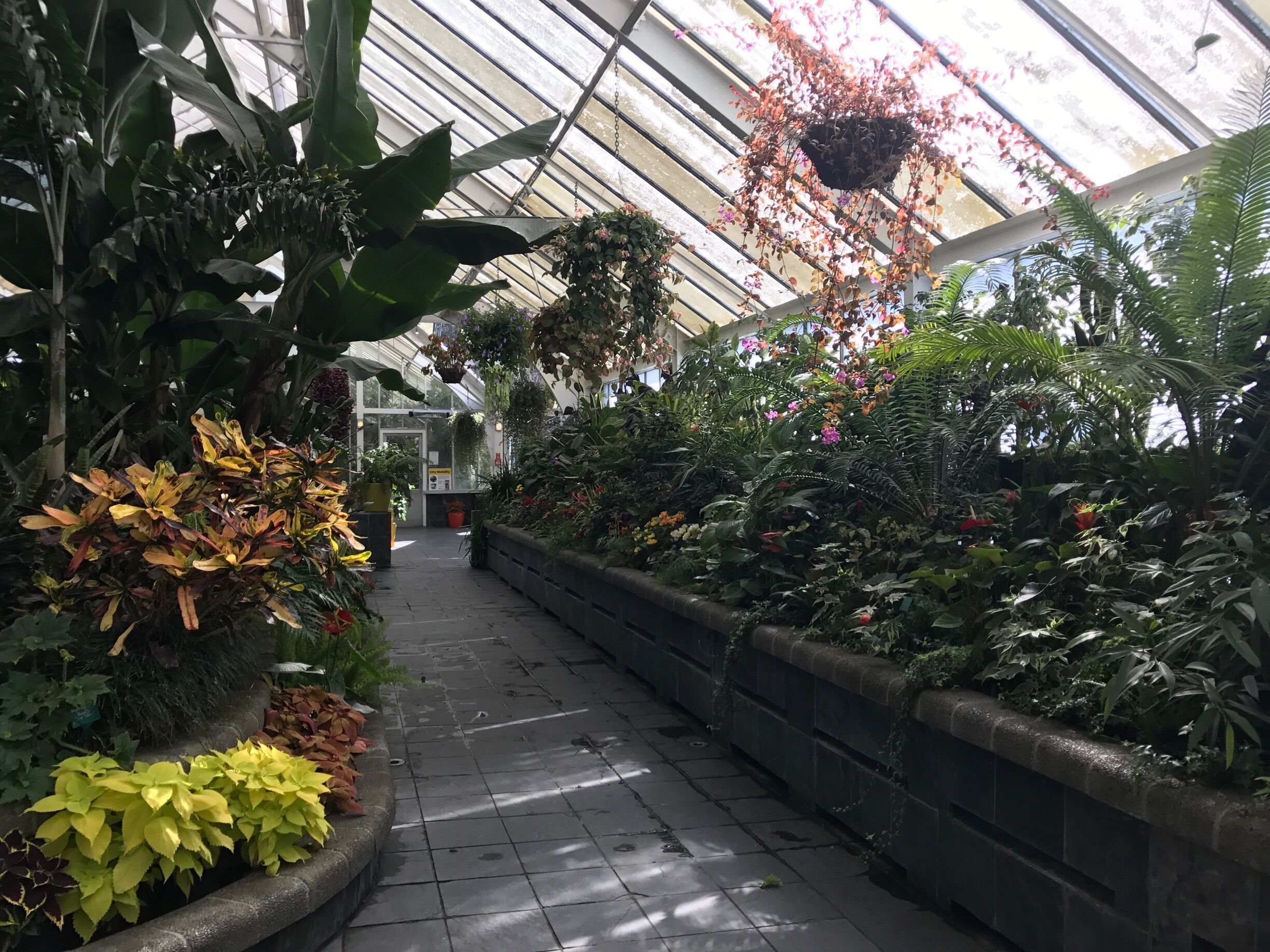 Very worthwhile if in Wellington 