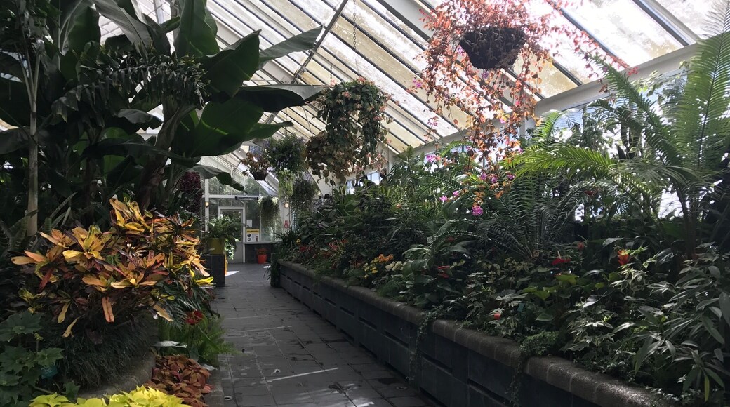 Very worthwhile if in Wellington