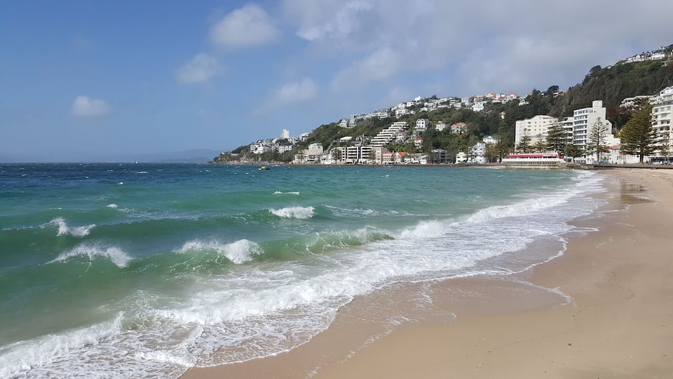The beach at Oriental Bay