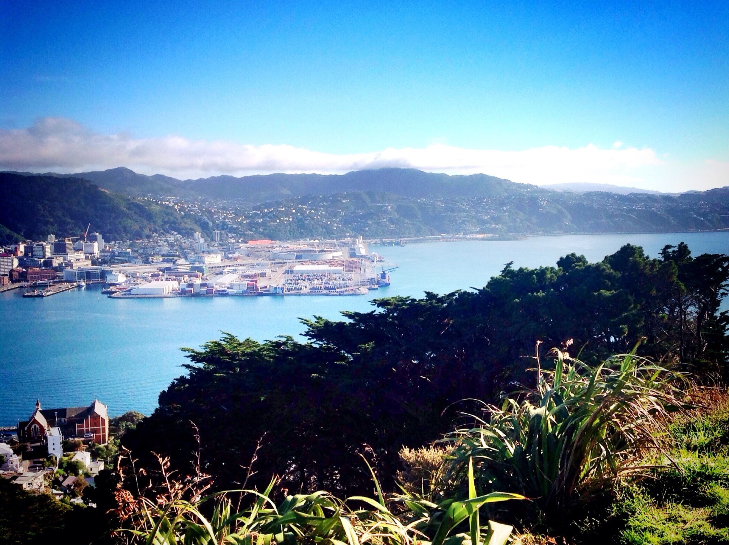 Views of Wellington city and its beautiful harbour from the lookout at Mount Victoria, New Zealand 
#NewZealand #NZ #Wellington #Ocean