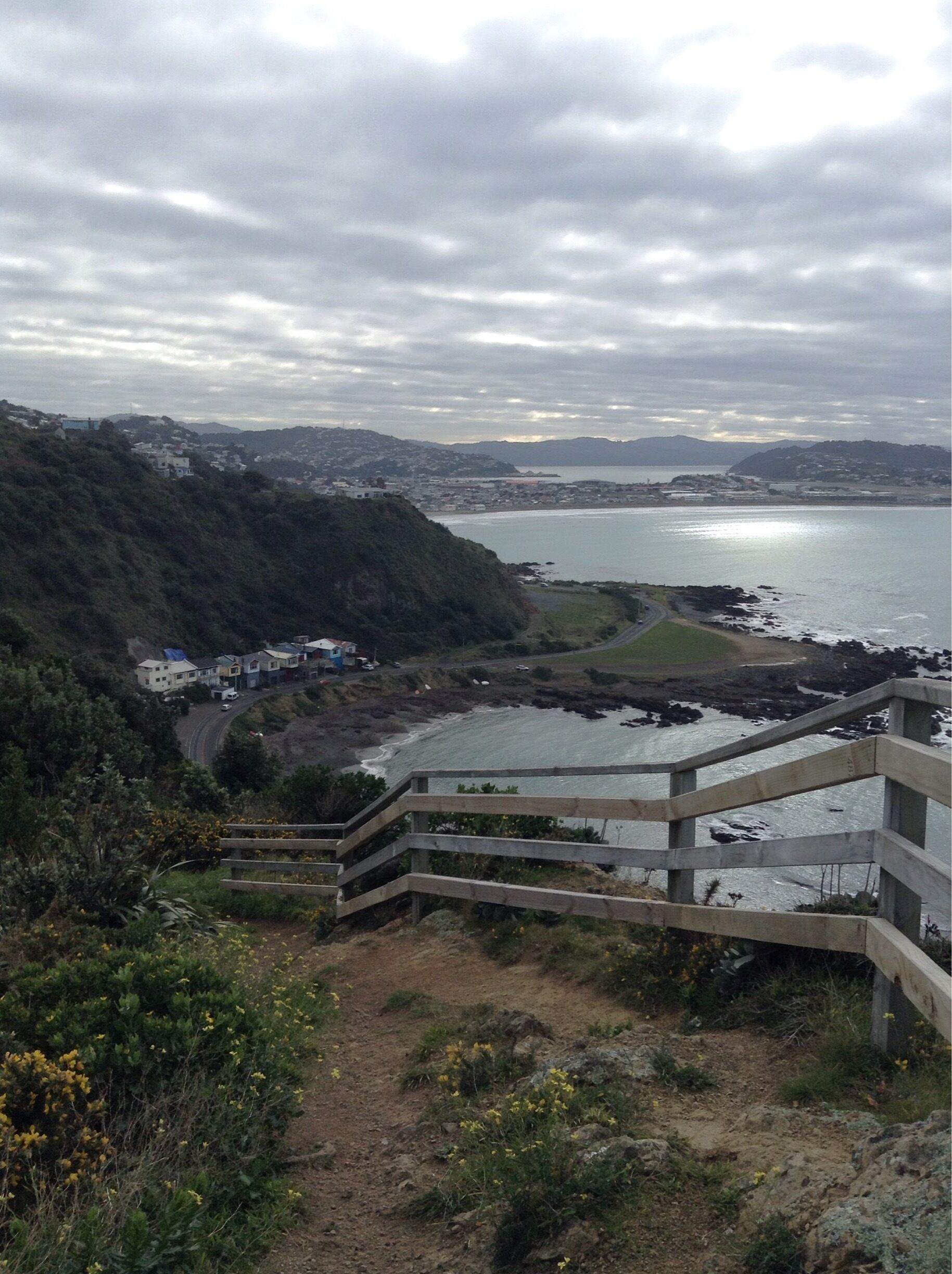 Looking east-ish , towards Lyall Bay from the trail on Headland Reserve.