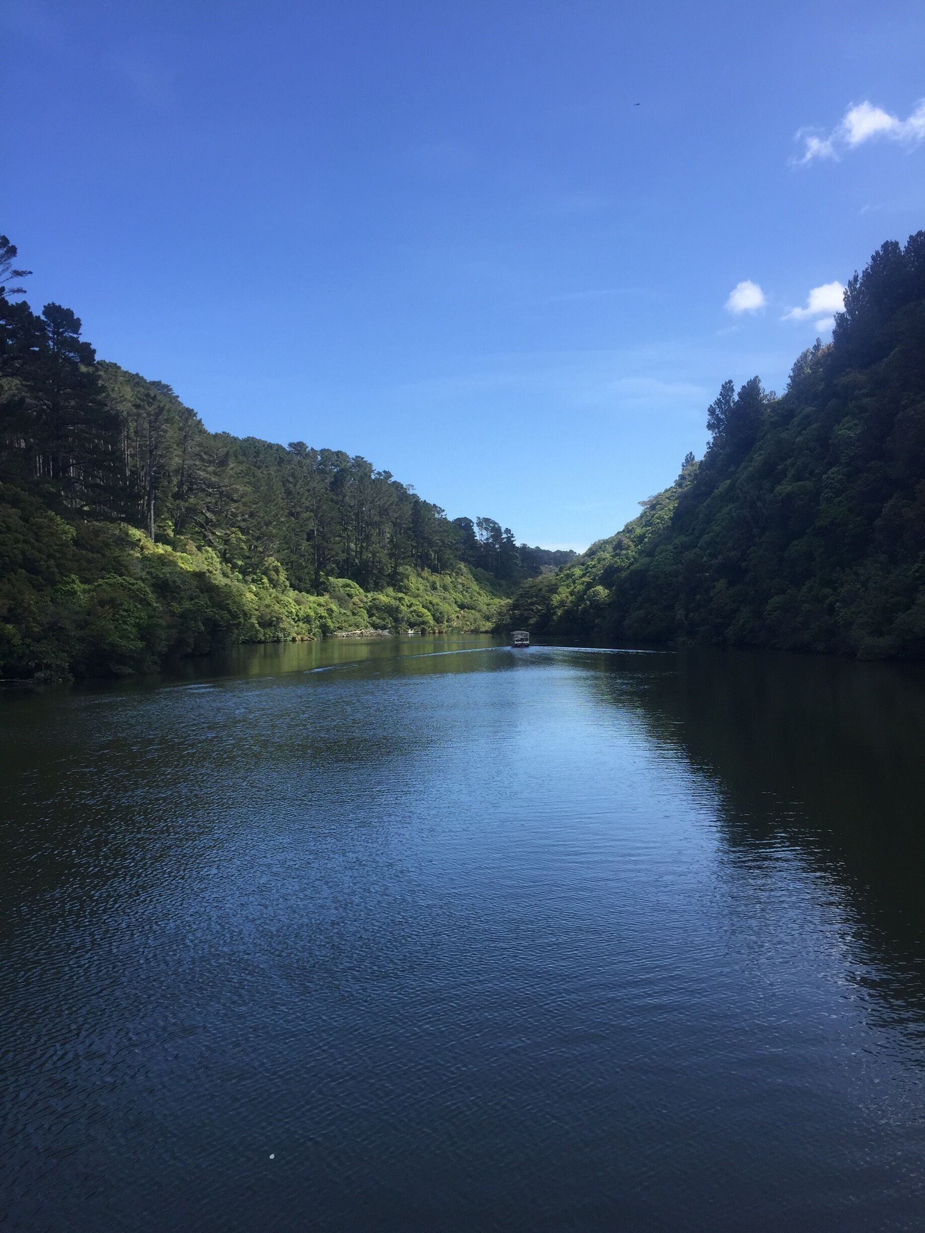 Zealandia