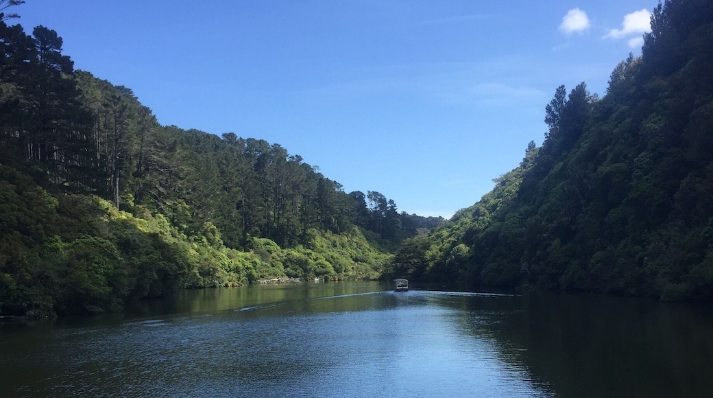 Zealandia