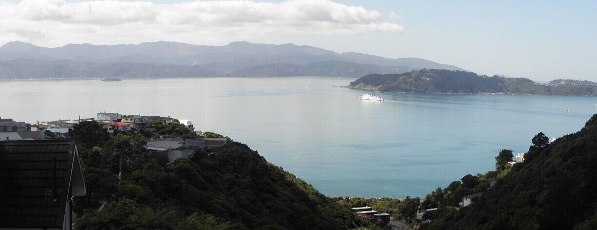 #TroveOn View from our house in Khandallah, great suburb to live in Wellington