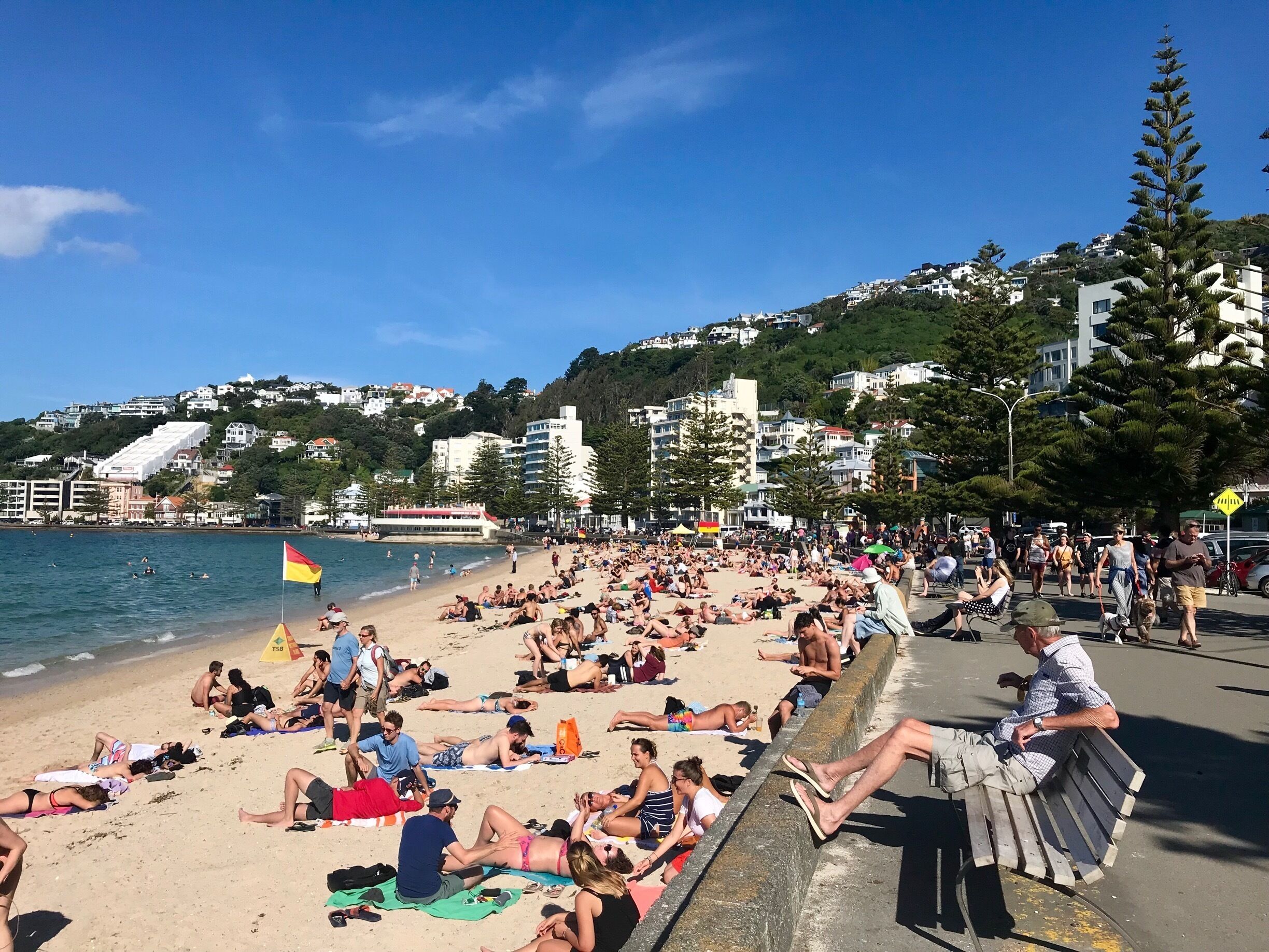 First day of 2019 proves to be sunny, beautiful and full of life in Wellington New Zealand. A good sign into the New Year. #2019 #newzealand #wellington #summer2019 #kiwisummer #citybeach #firstdayoftheyear #newday #worldtrip2019 #orientalbay