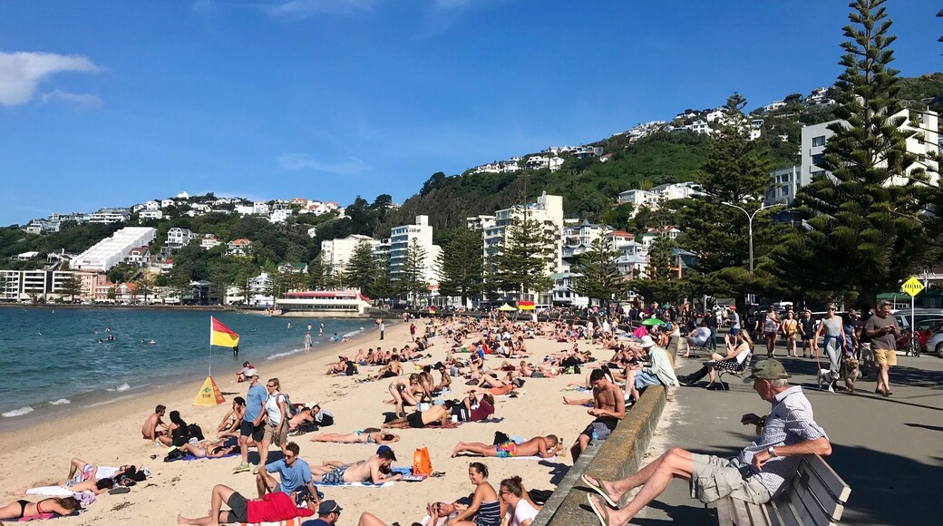 First day of 2019 proves to be sunny, beautiful and full of life in Wellington New Zealand. A good sign into the New Year. #2019 #newzealand #wellington #summer2019 #kiwisummer #citybeach #firstdayoftheyear #newday #worldtrip2019 #orientalbay