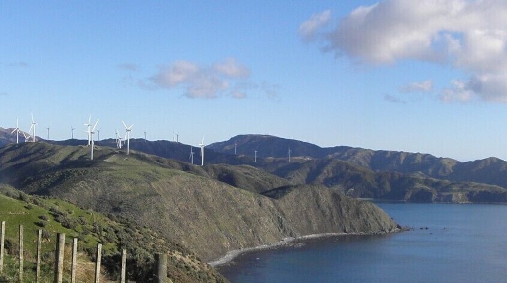 #TroveOn Beautiful view of Makara Bay, Wellington, NZ.