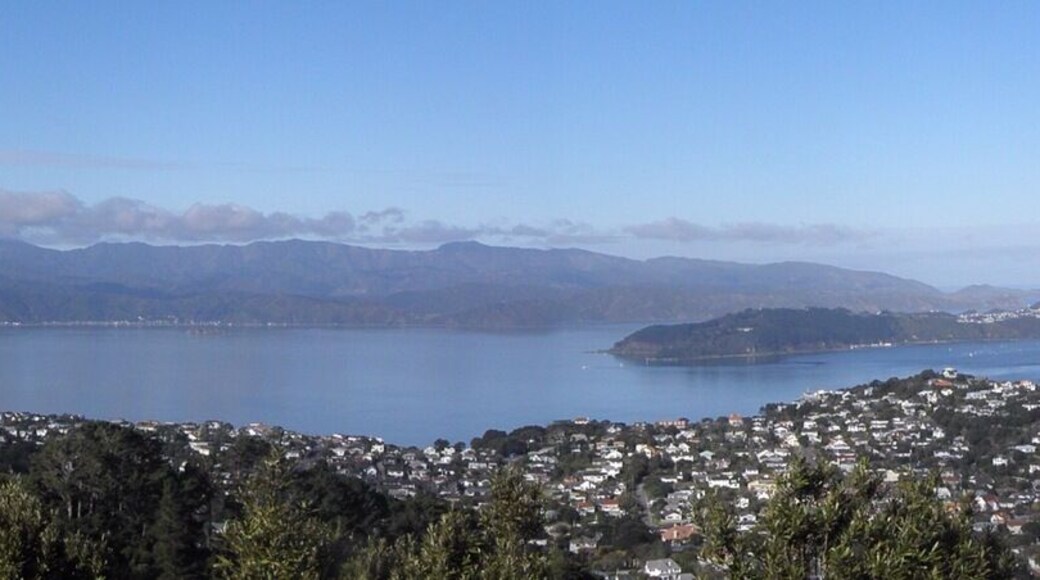 #TroveOn A scenic climb to the top of Mt Kaukau & rewarded with amazing views all around. It is situated in Khandallah, a suburb of Wellington, NZ.