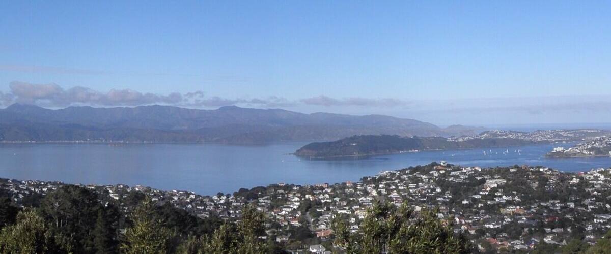 #TroveOn A scenic climb to the top of Mt Kaukau & rewarded with amazing views all around. It is situated in Khandallah, a suburb of Wellington, NZ.