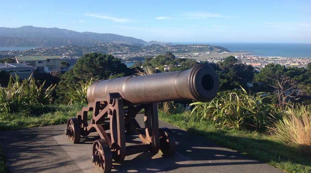Canon at the lookout in Mount Victoria, Wellington New Zealand