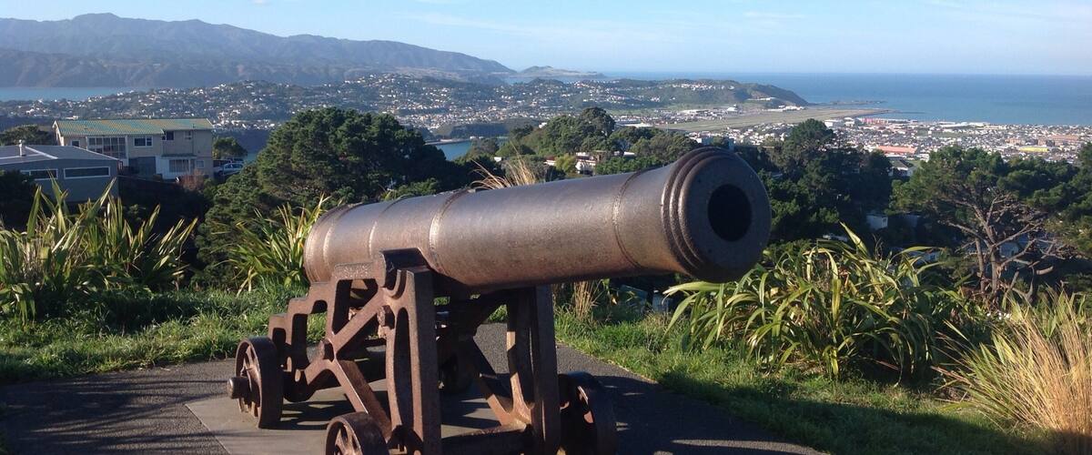 Canon at the lookout in Mount Victoria, Wellington New Zealand