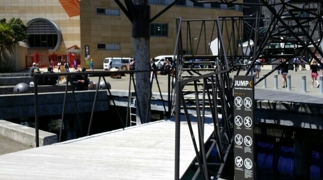 Just to the left of Te Papa there is a set of stairs that allow people to jump into the water through a hole in the deck. Seems crazy to me!