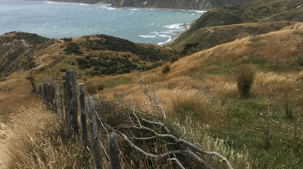 It was a bit windy on this beautiful walk but I guess that's why they built the wind turbines here. Beautiful area