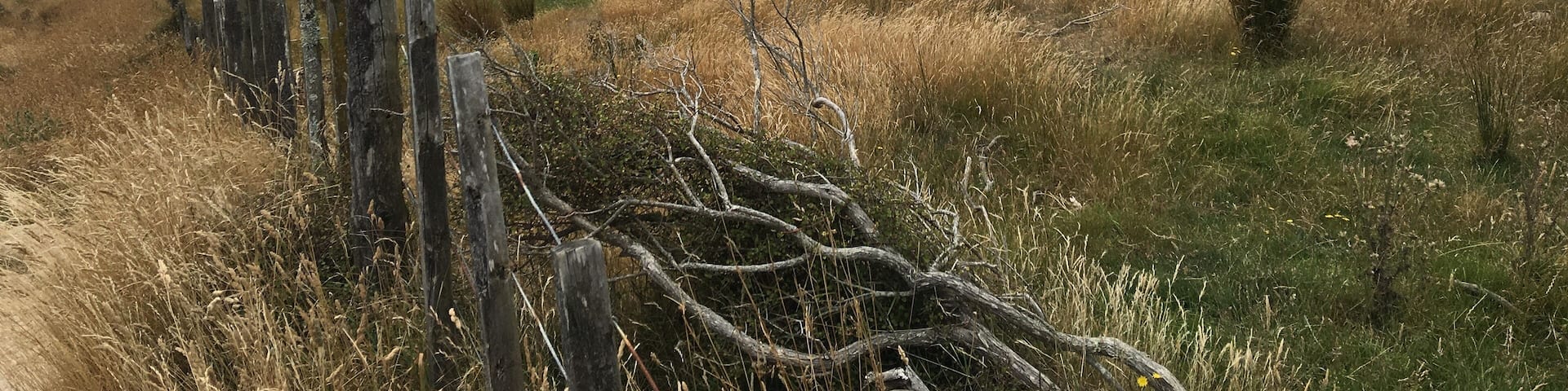 It was a bit windy on this beautiful walk but I guess that's why they built the wind turbines here. Beautiful area