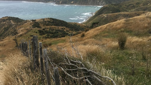 It was a bit windy on this beautiful walk but I guess that's why they built the wind turbines here. Beautiful area