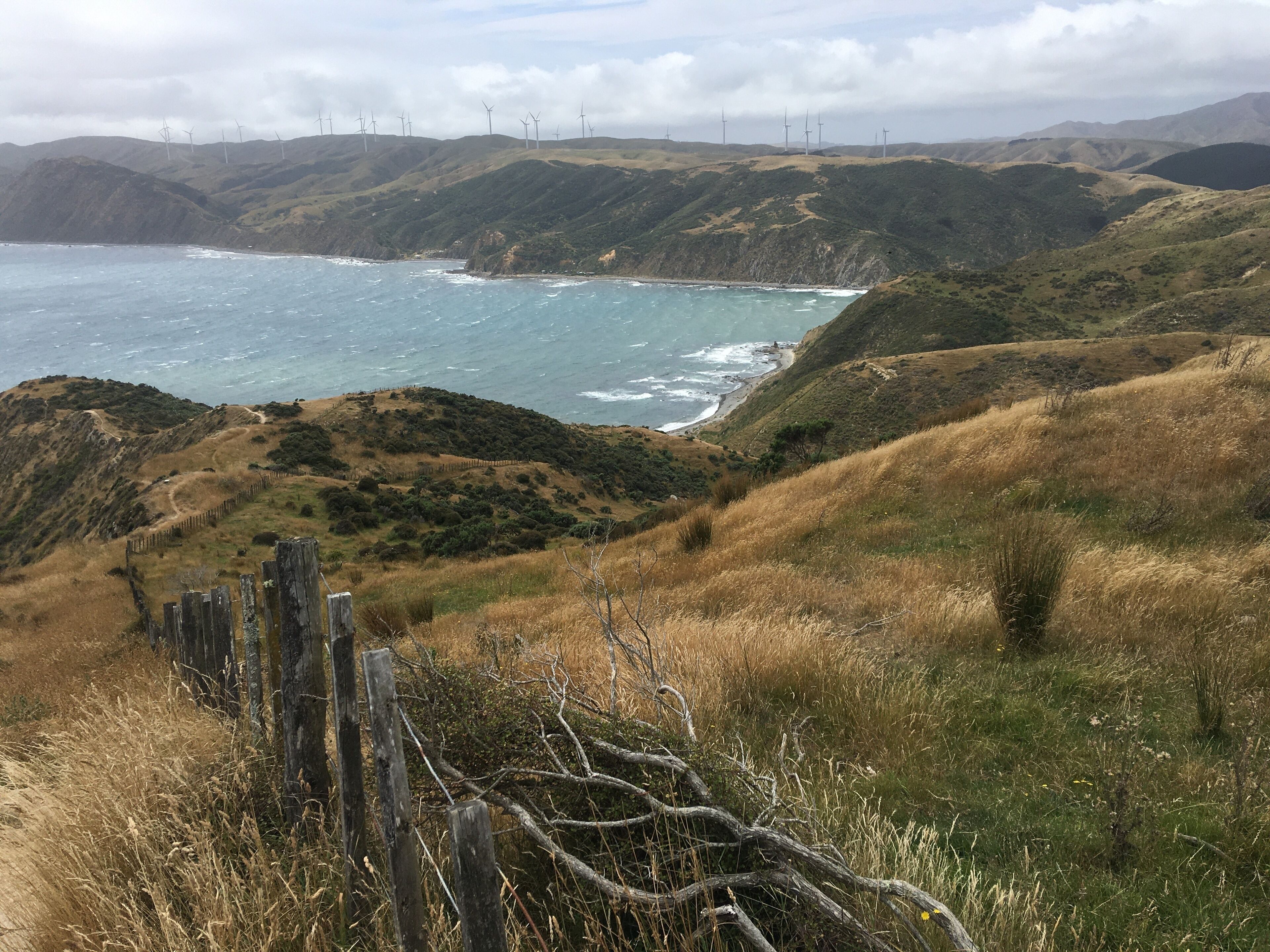 A coastal landscape with wind turbines, rolling hills, and a beach.