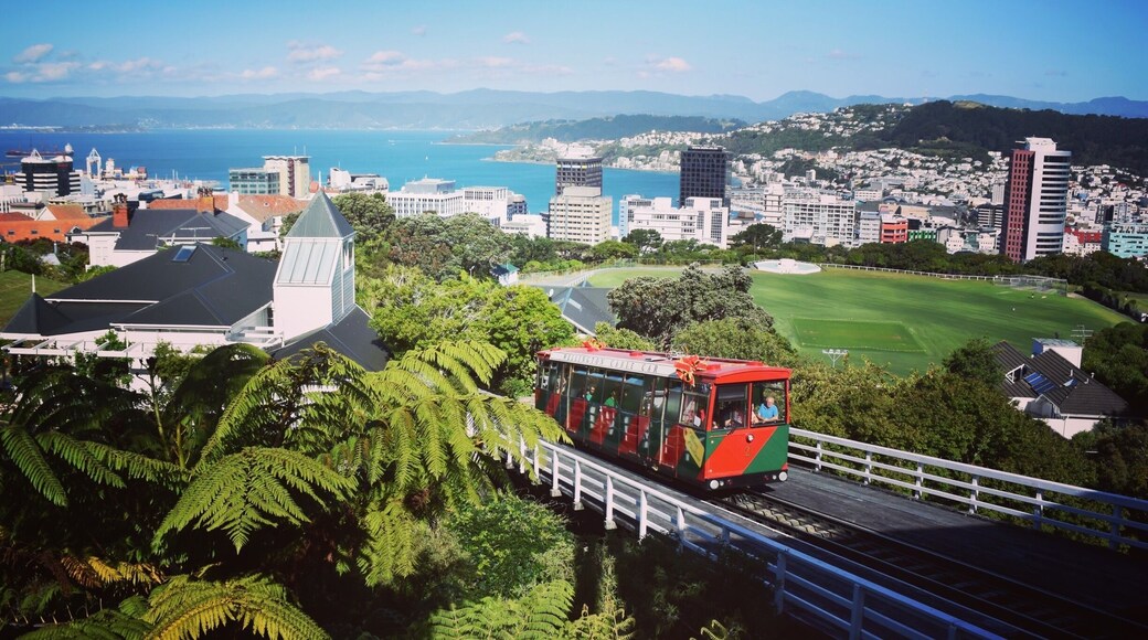 We spent a week on the North Island of New Zealand (our 9th country) in 2014...starting in Auckland and ending in Wellington. This shot is from the top of the cable car looking out over the city. #lens4change