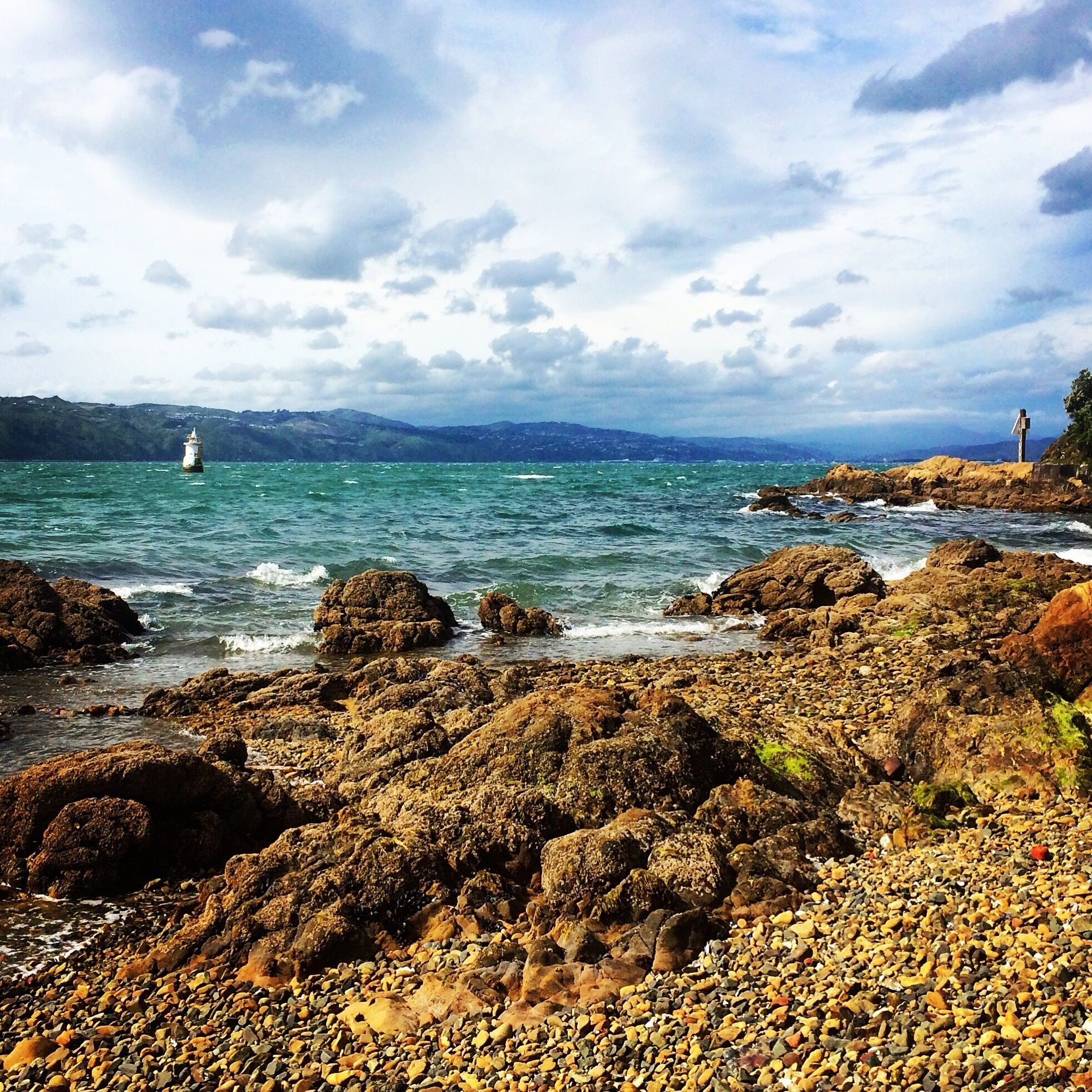View of Wellington harbour from Oriental Parade. 