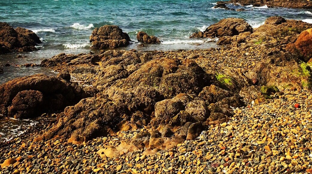 View of Wellington harbour from Oriental Parade.