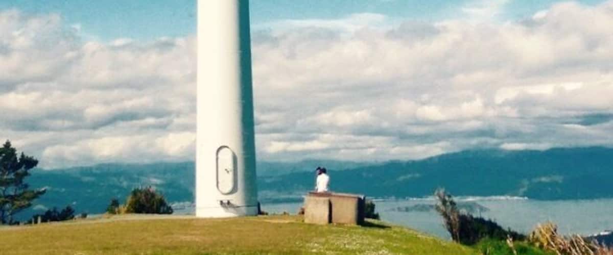 Wellington Wind Turbine ❤️