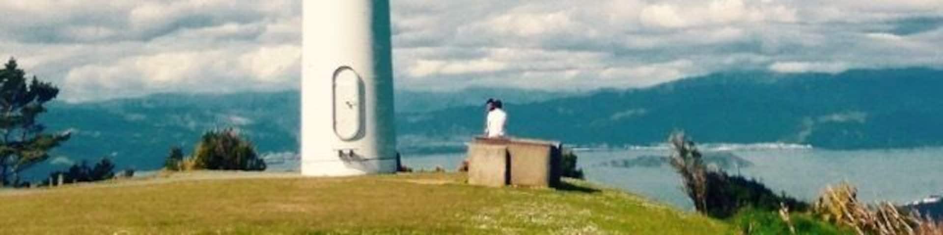 Wellington Wind Turbine ❤️