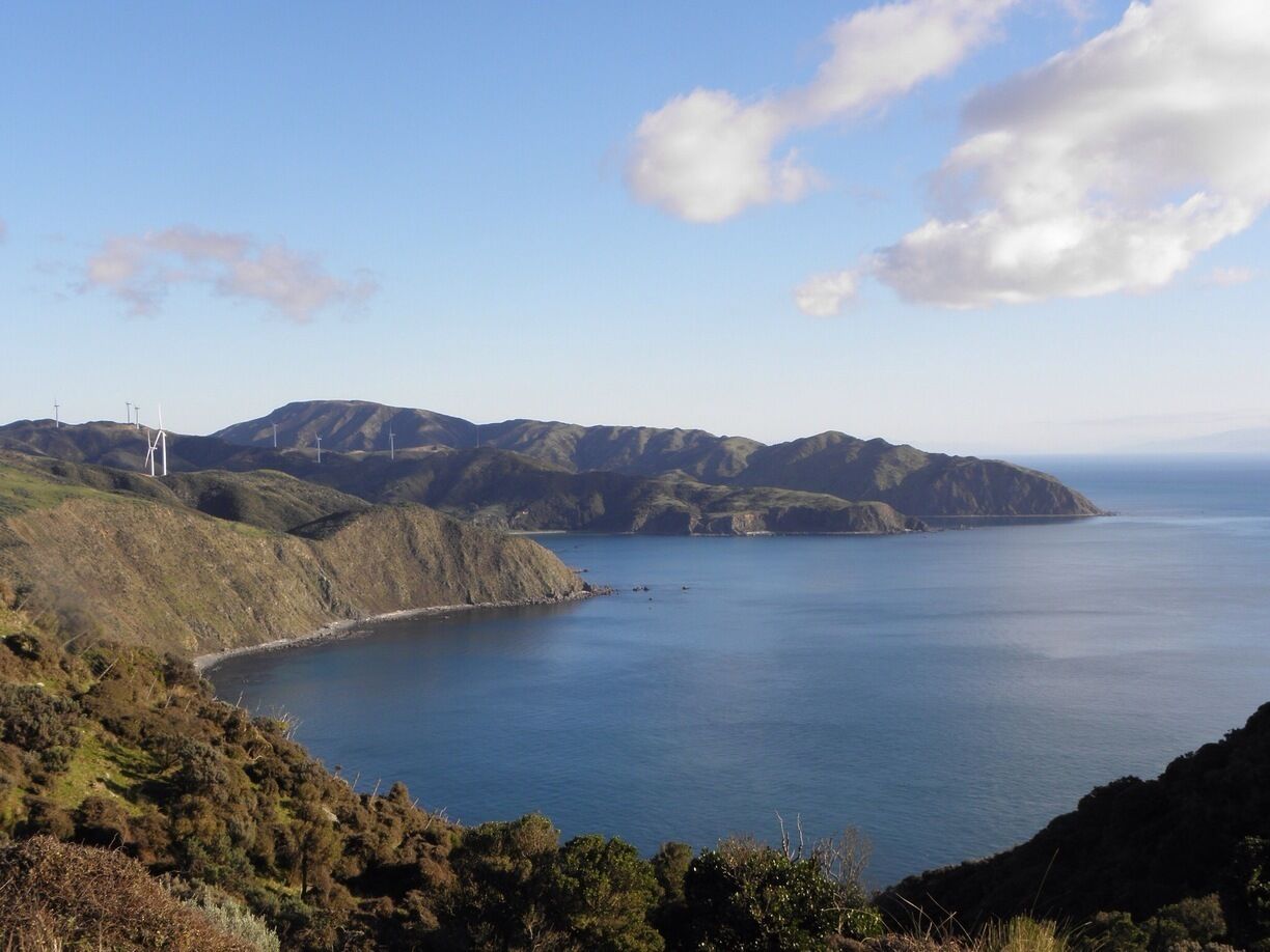 #TroveOn Stunning views from Makara. Enjoyed the climb. Only 10 minutes from the heart of Wellington City, New Zealand