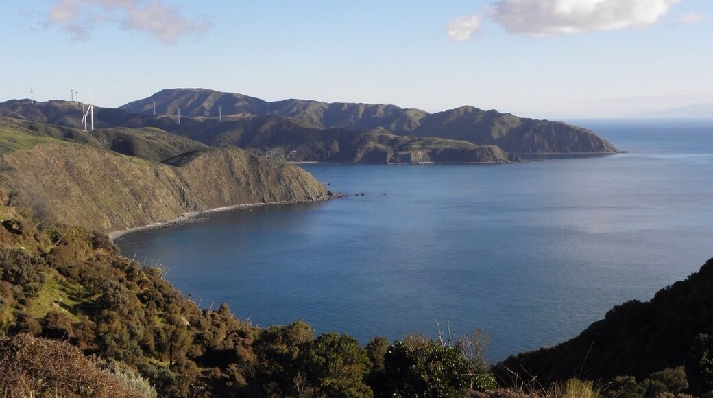 #TroveOn Stunning views from Makara. Enjoyed the climb. Only 10 minutes from the heart of Wellington City, New Zealand