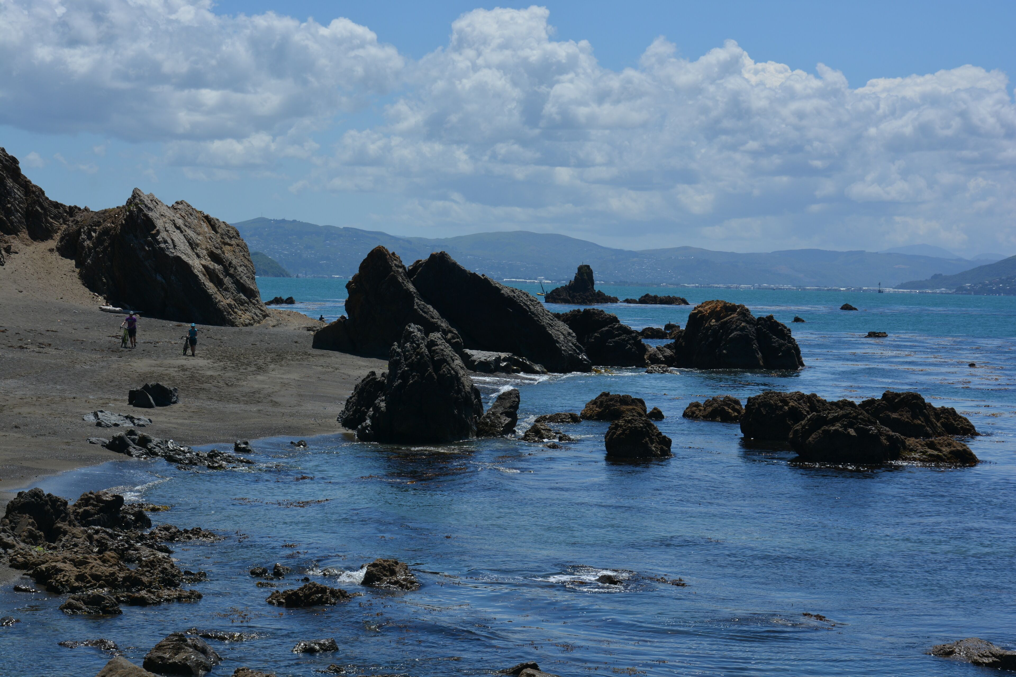 Looking down the harbour towards the Hutt Valley