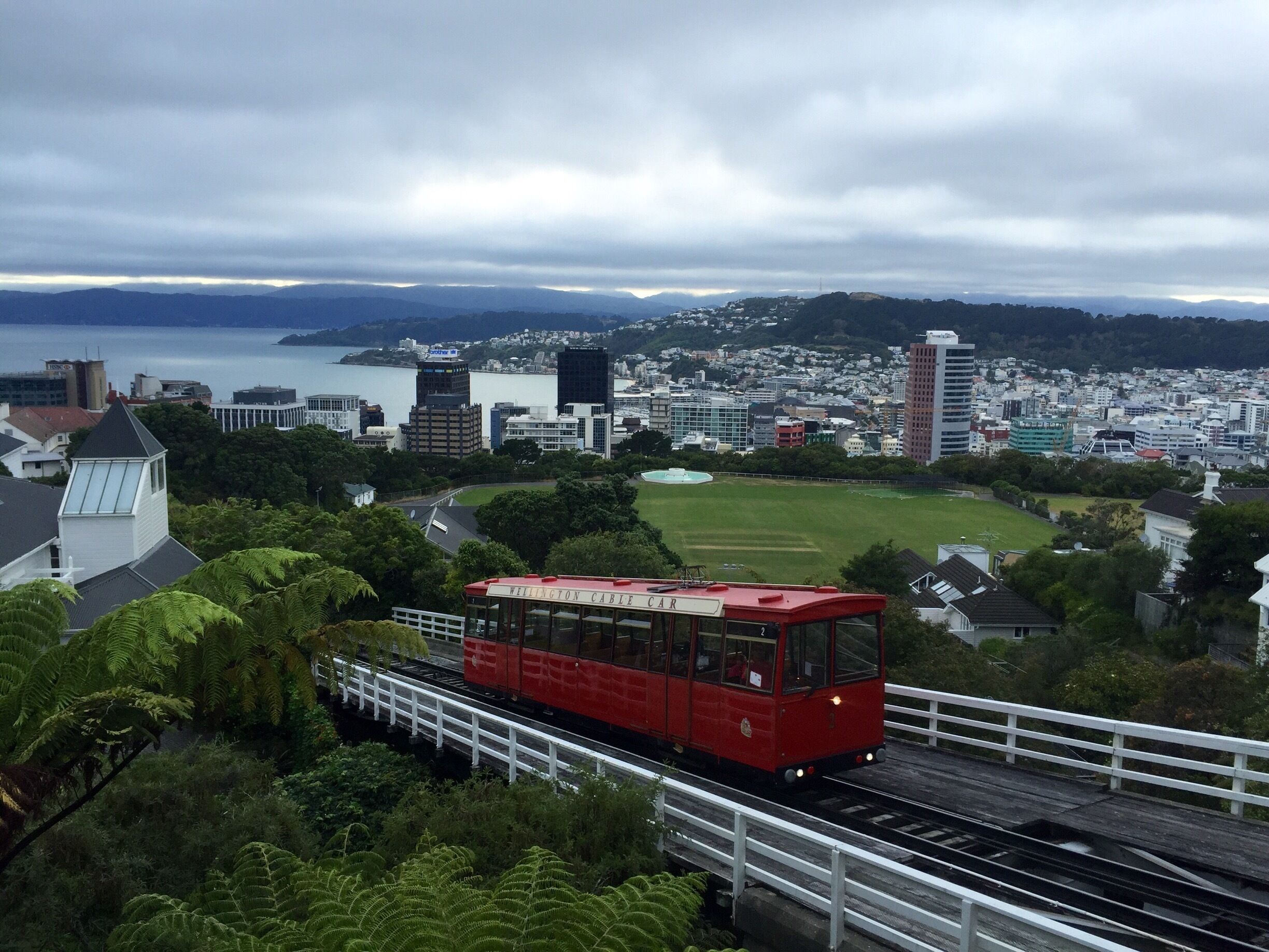 The iconic Wellington cable car pic. Had to do it. Definitely worth the effort for the view! The ride is fun too with lights in the tunnels :)