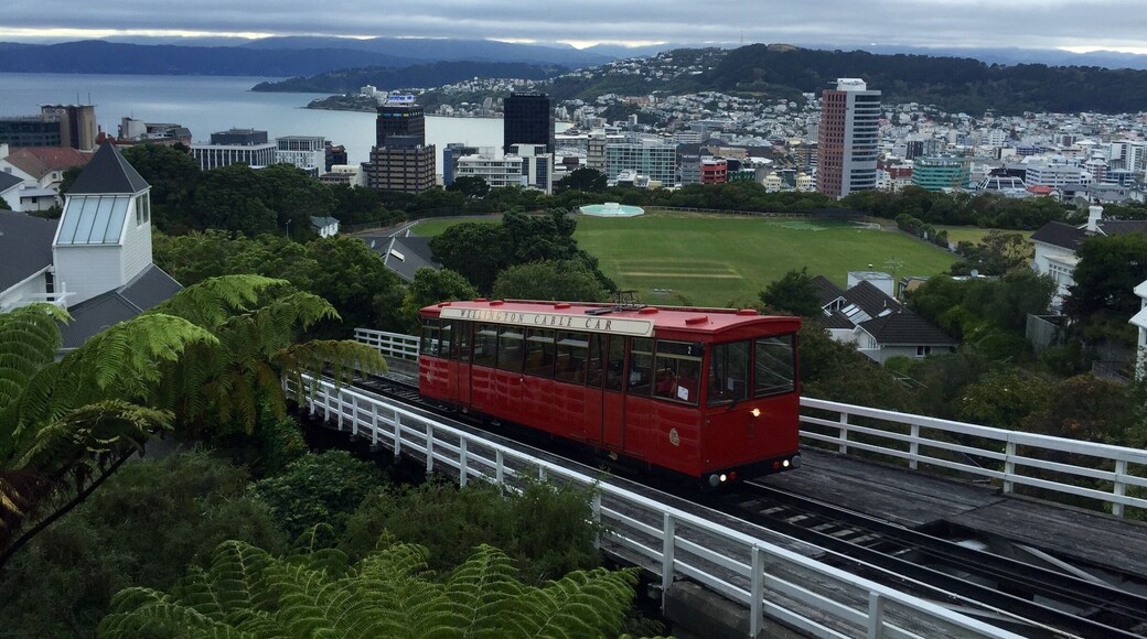 The iconic Wellington cable car pic. Had to do it. Definitely worth the effort for the view! The ride is fun too with lights in the tunnels :)