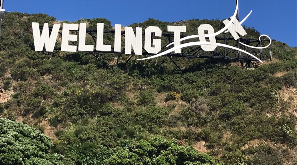 The Wellington sign describes this city as very windy at times. Lucky for us the weather was spectacular everyday. #wellington #wellingtonsign #newzealand #windy #miramar