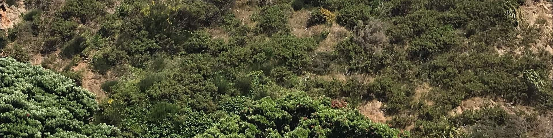 The Wellington sign describes this city as very windy at times. Lucky for us the weather was spectacular everyday. #wellington #wellingtonsign #newzealand #windy #miramar