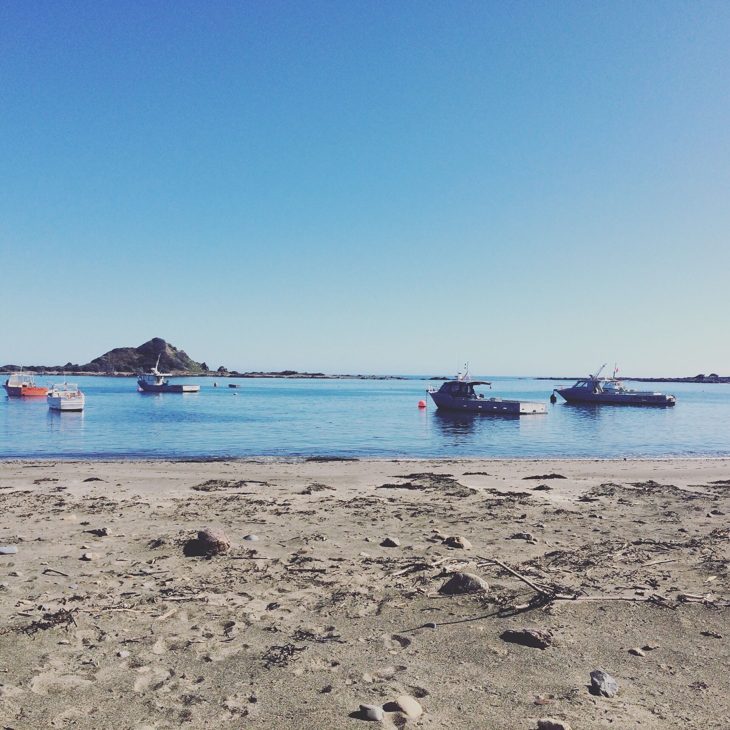 Island Bay, Wellington.