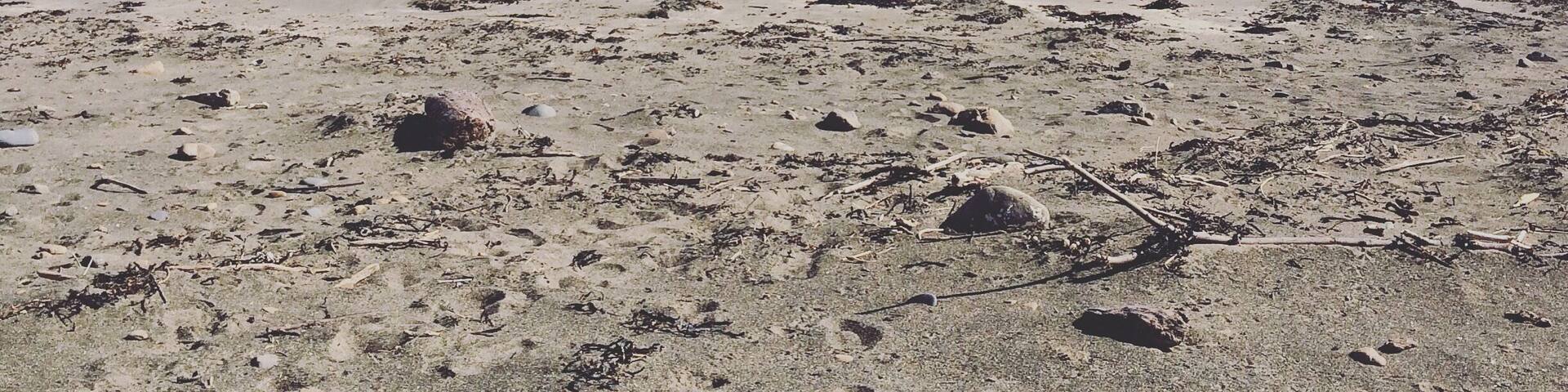 Island Bay, Wellington.