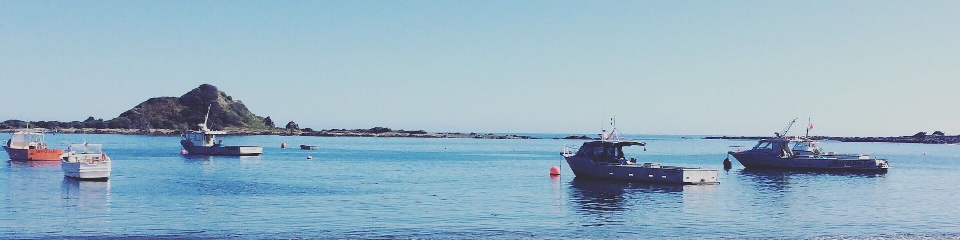 Island Bay, Wellington.