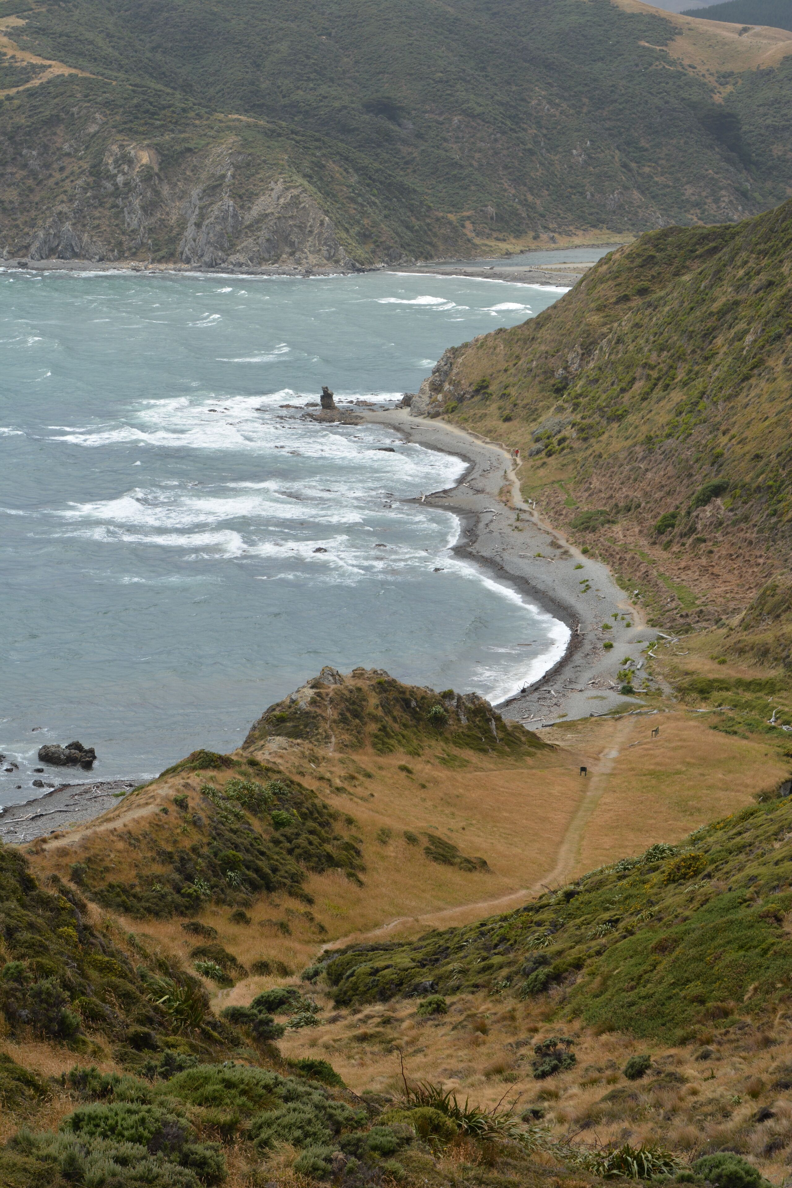 
Great view back down the path on the Makara walkway