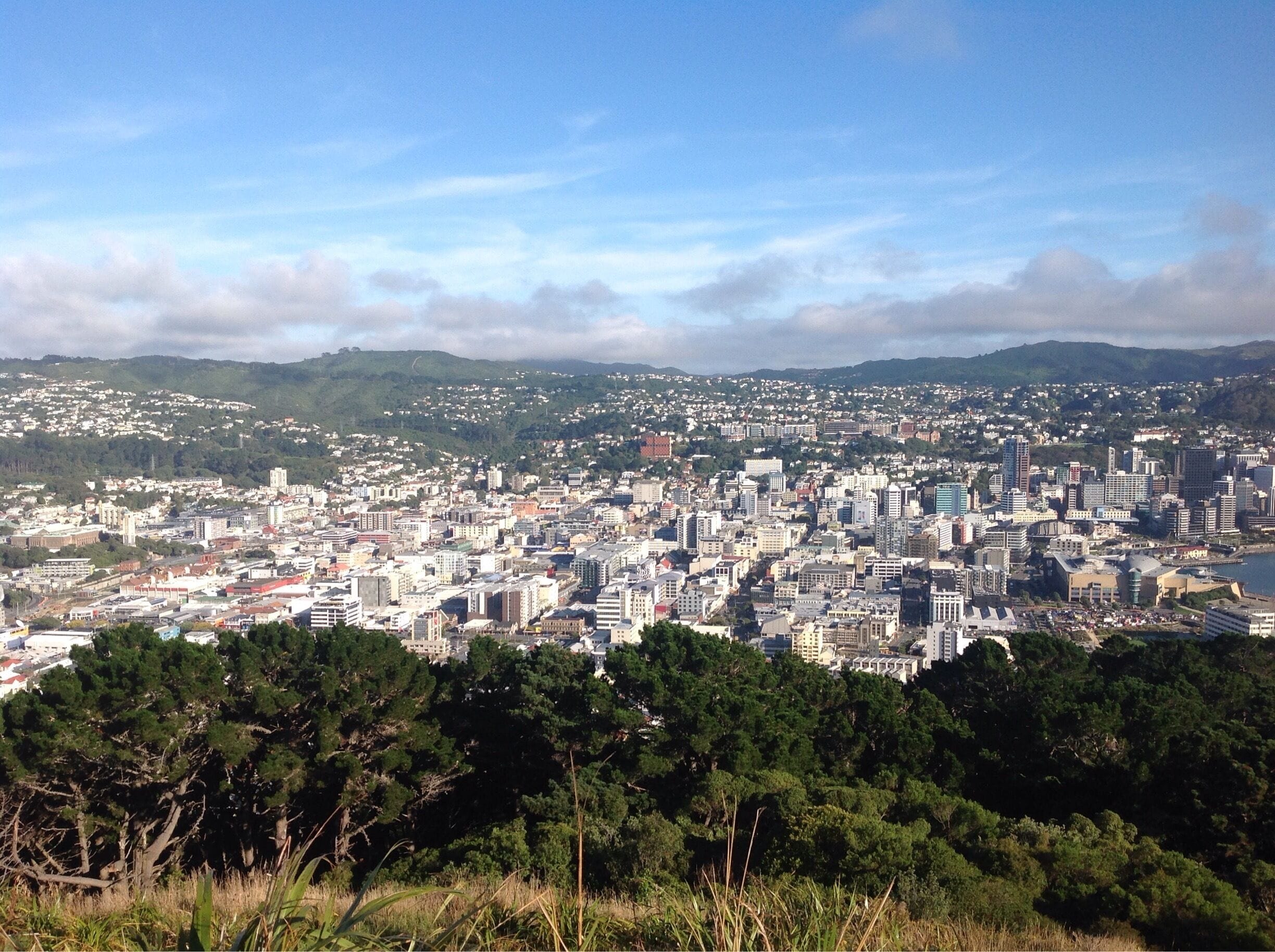 Mount Victoria Lookout, Wellington New Zealand

#NewZealand #Wellington