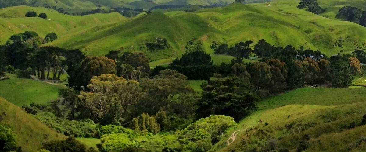 We rode some horses up to get these stunning views of the Ohariu area near Wellington.  Everything is so lush and green.