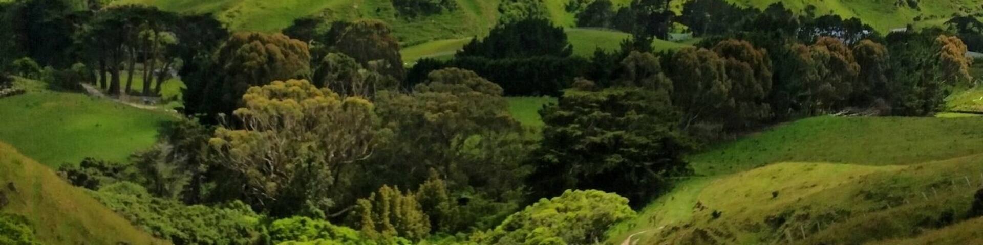 We rode some horses up to get these stunning views of the Ohariu area near Wellington. Everything is so lush and green.