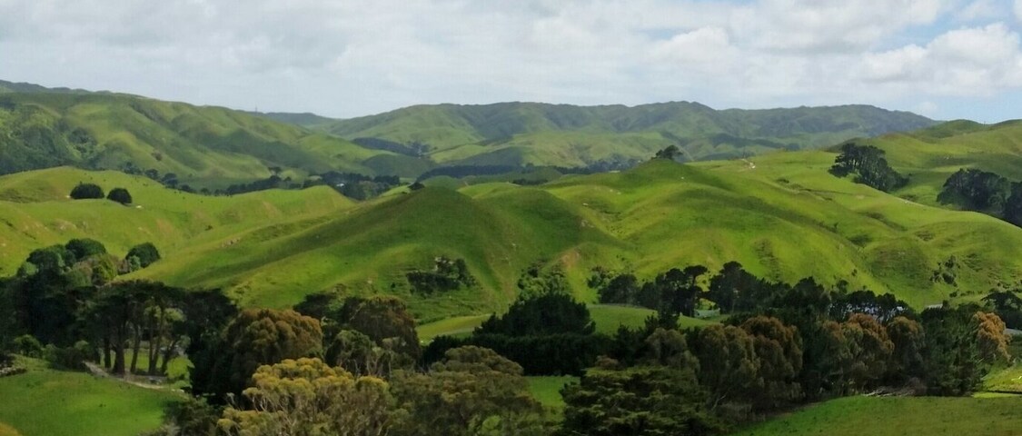 We rode some horses up to get these stunning views of the Ohariu area near Wellington. Everything is so lush and green.